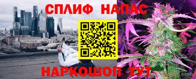 МДПВ Пушкино